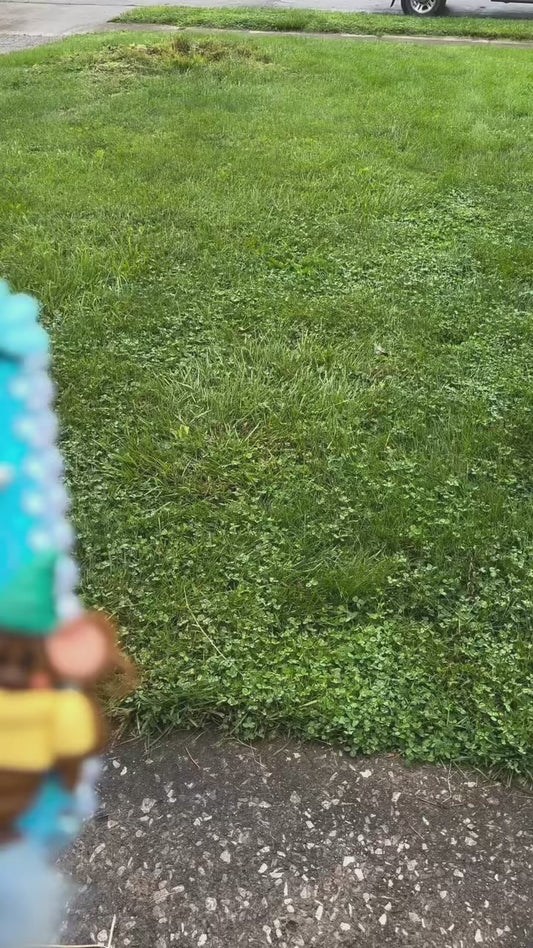 Cinderella Hair Brush